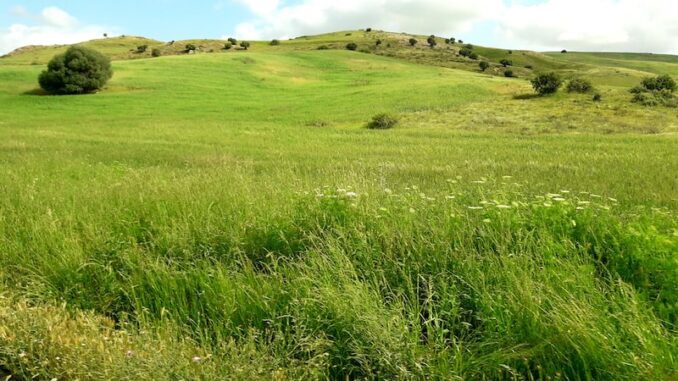 uploaded-image-bergama-antik-kent-1696954979384