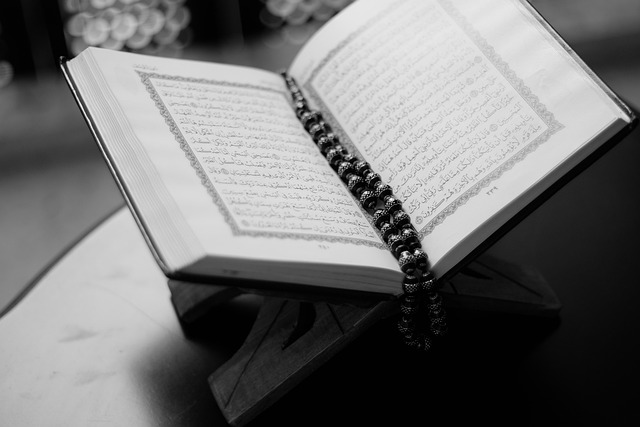 12. Kitap İncelemeleri Nasıl Yazılır? 12. Kitap İncelemeleri Nasıl Yazılır?